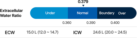 Graf s modrými pruhmi rozdeľuje hodnoty do úrovní Under, Normal, Boundary a Over pre analýzu telesnej vody a ACCUNIQ BIA.